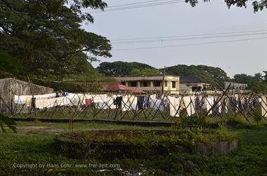 Public Laundry, Cochin_DSC5969_H600